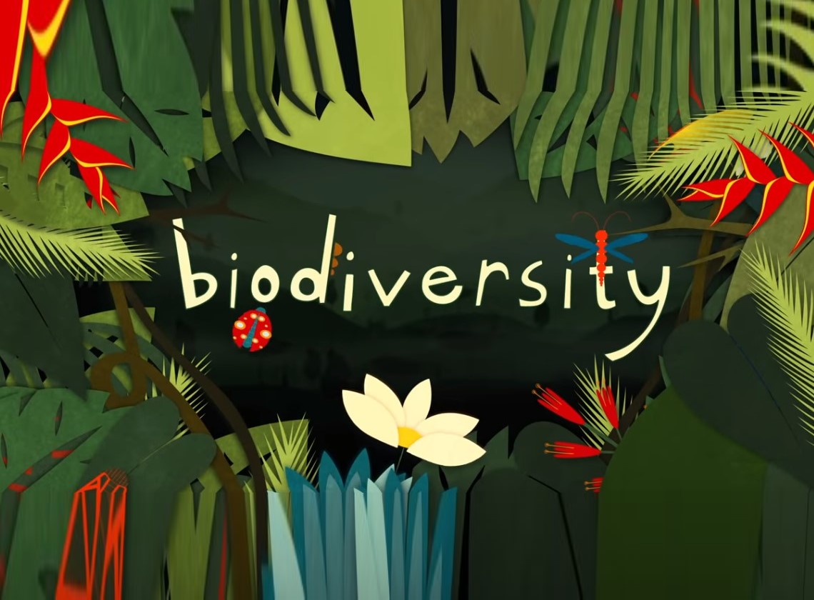 Video About Biodiversity